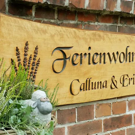 Calluna * Faßberg